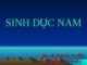 SINH DỤC NAM