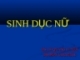 Sinh dục nữ  (Giải phẫu học)