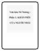 Văn hóa Nõ Nường : Phần 1: KHĂN PIÊU CỦA NGƯỜI THÁI